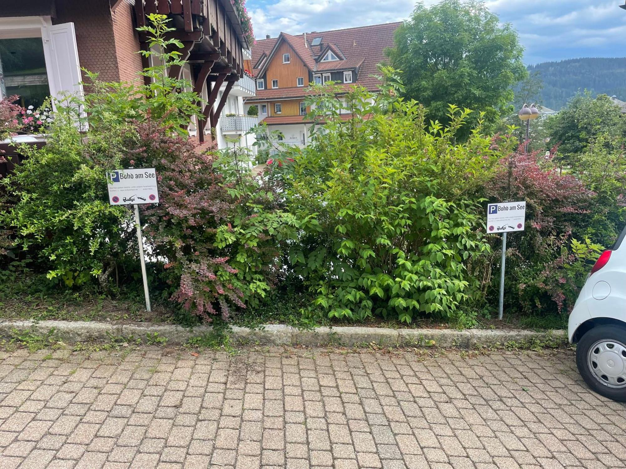 Bohostyleapartment Am